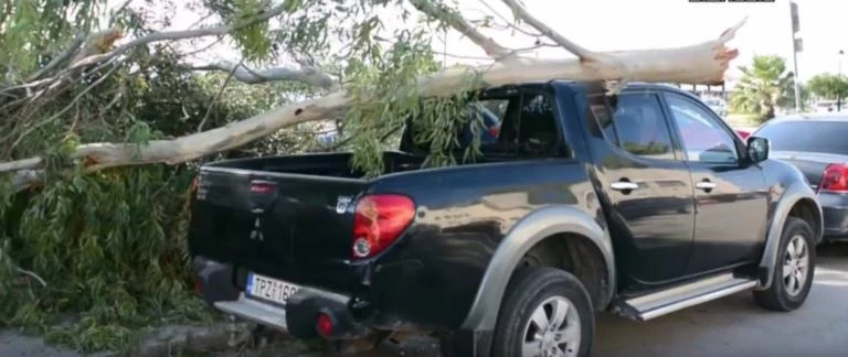 Ναύπλιο: Μεγάλο δέντρο έσπασε απ’ τον αέρα και καταπλάκωσε αυτοκίνητο (βίντεο)